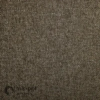 MODESTO_482