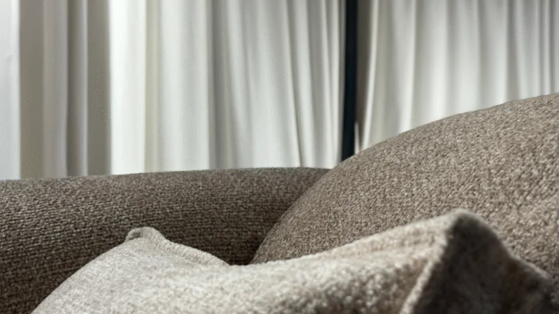 Taro 11 (4) Taro 11 (4)