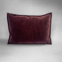 Golden_pillow_1