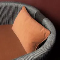 Ellie_2